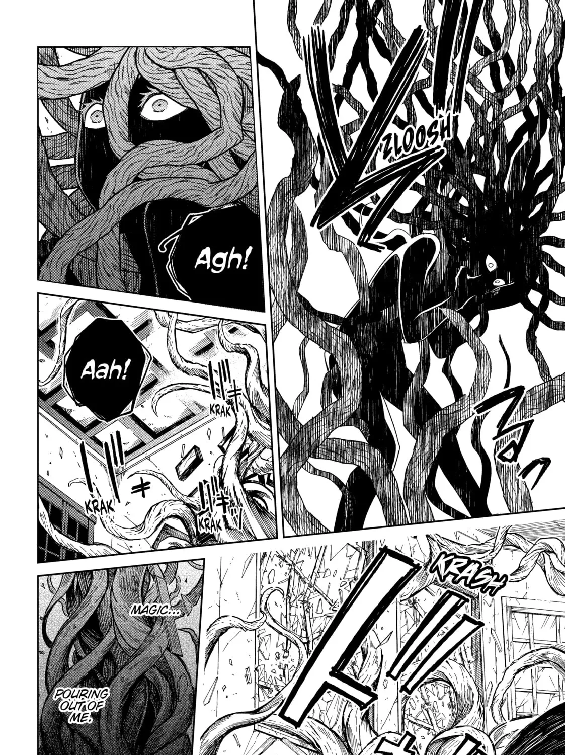 The Ancient Magus