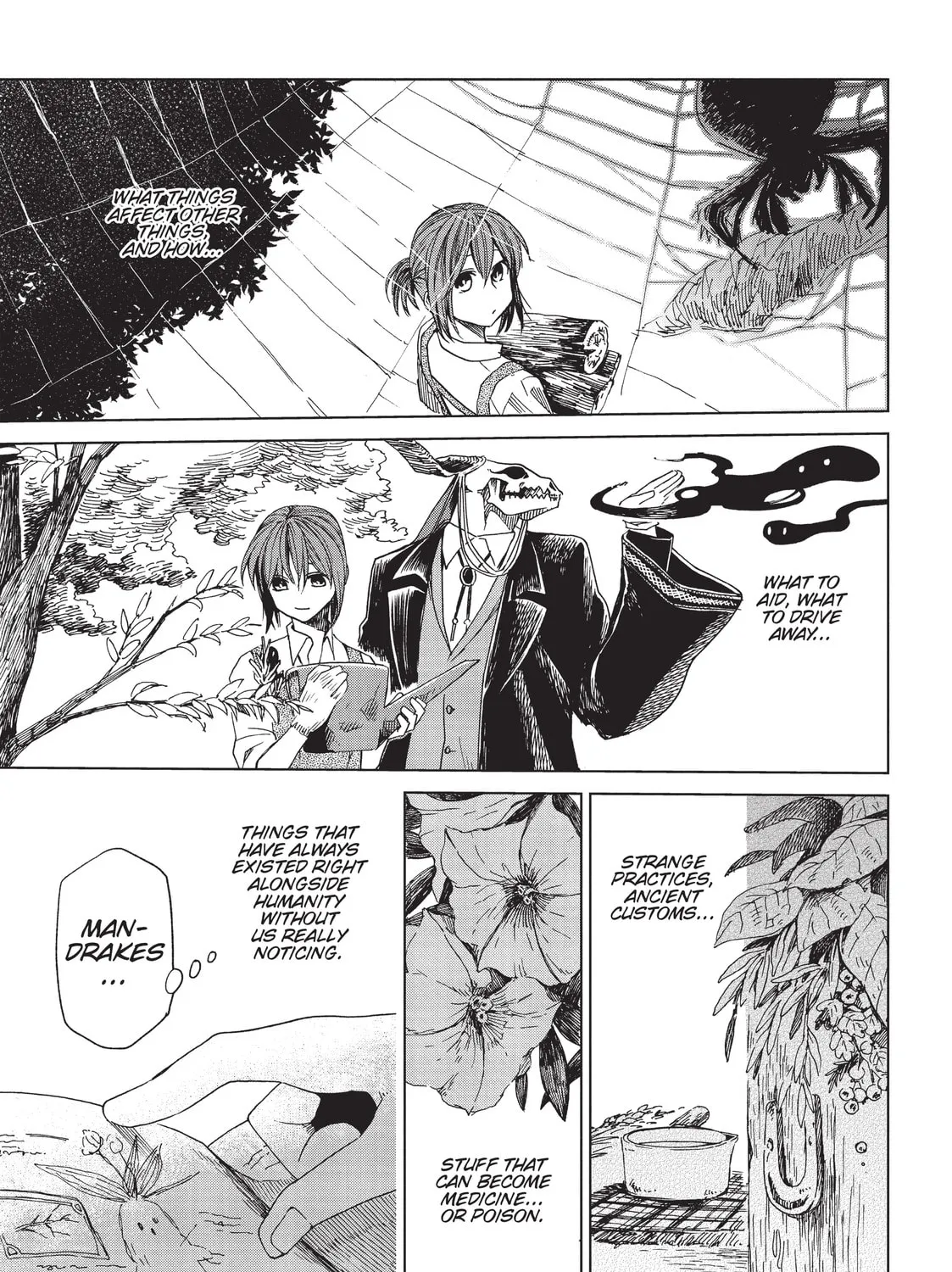 The Ancient Magus