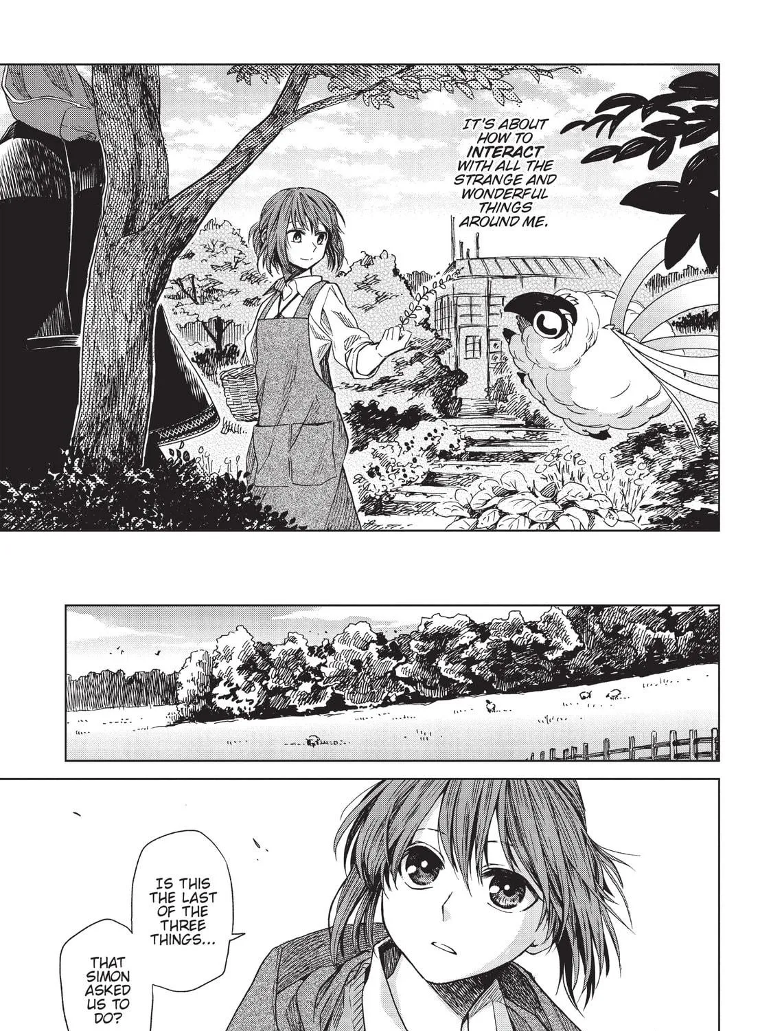 The Ancient Magus