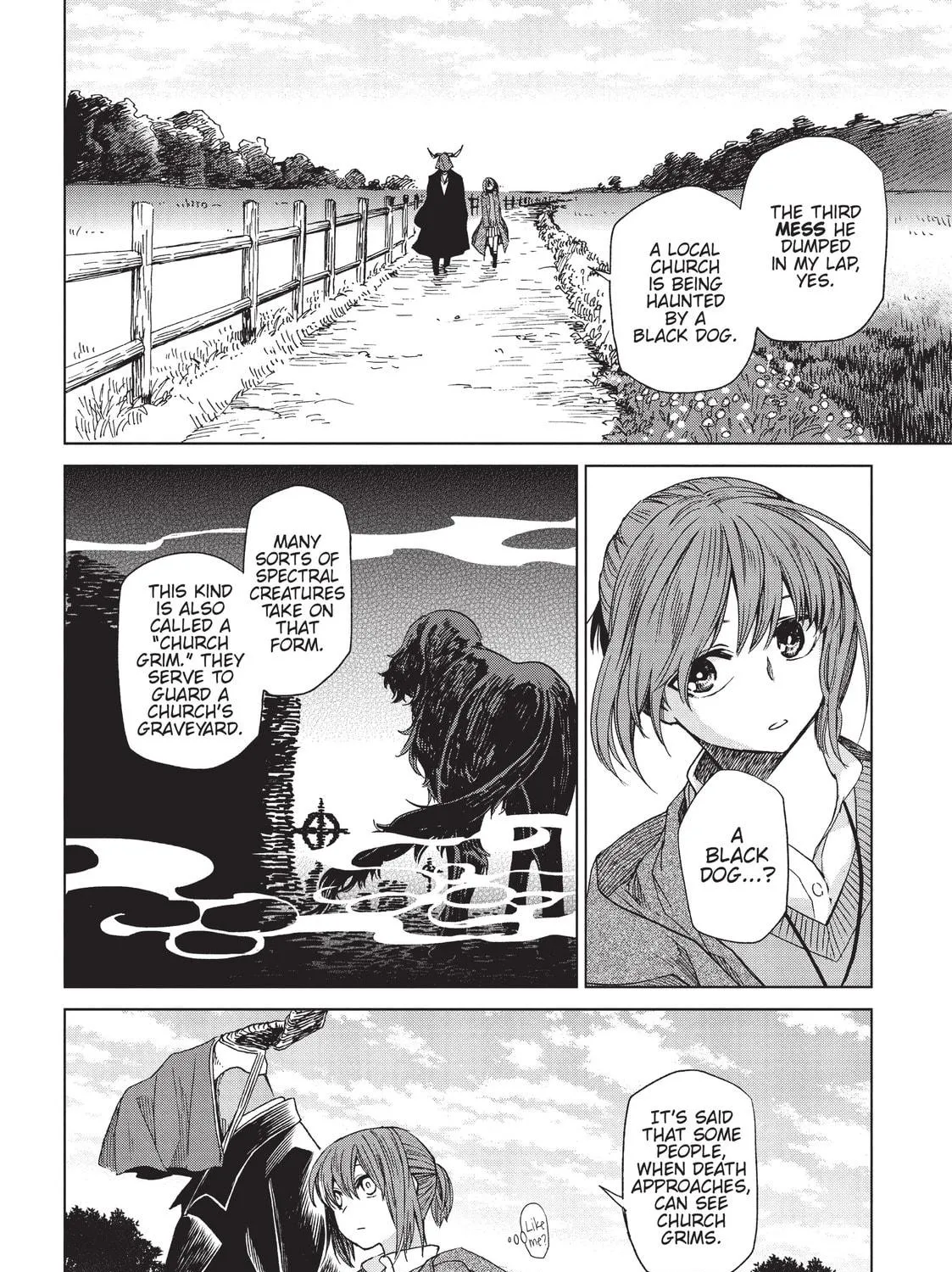 The Ancient Magus