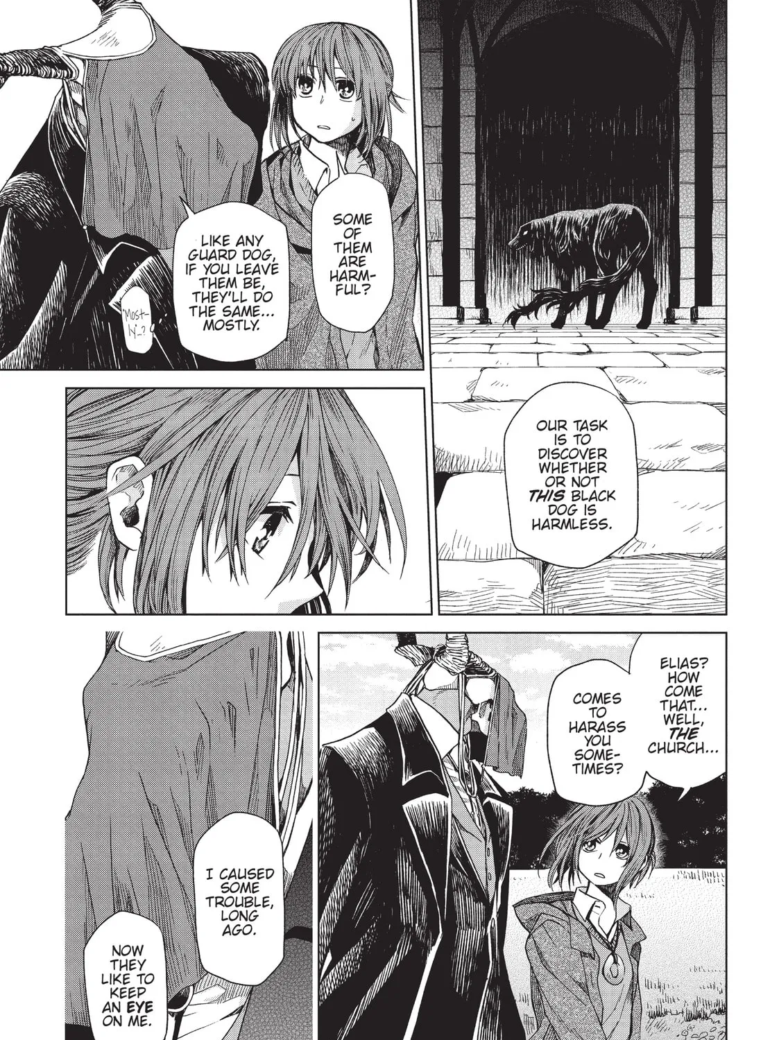 The Ancient Magus