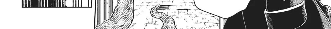 The Ancient Magus