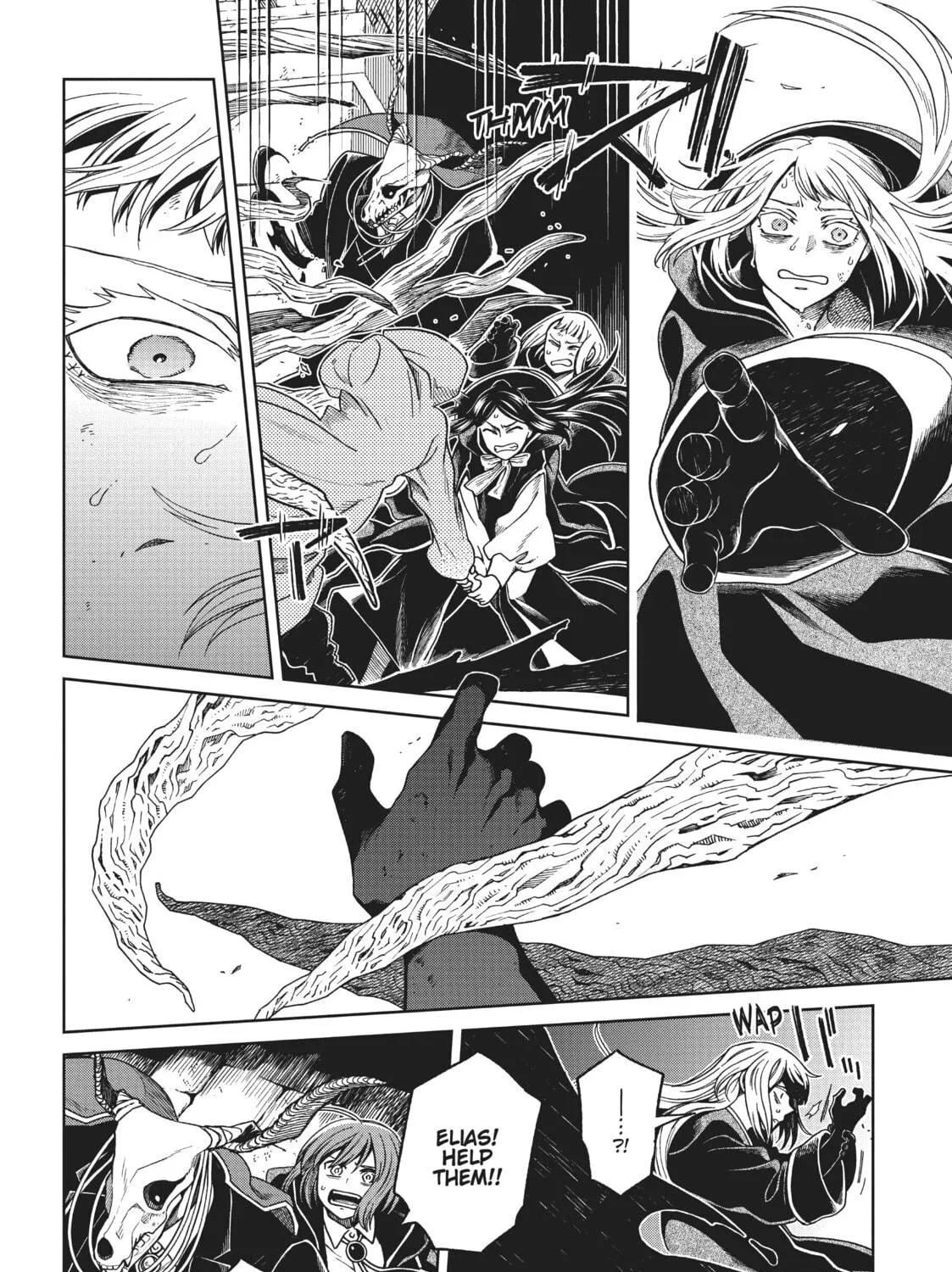 The Ancient Magus