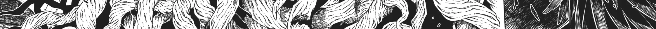 The Ancient Magus