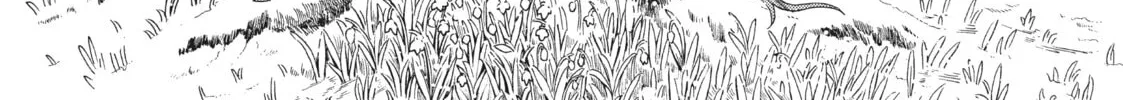 The Ancient Magus