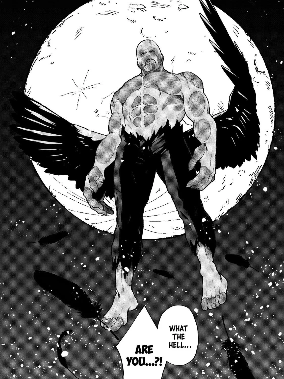 The Another World Demon King