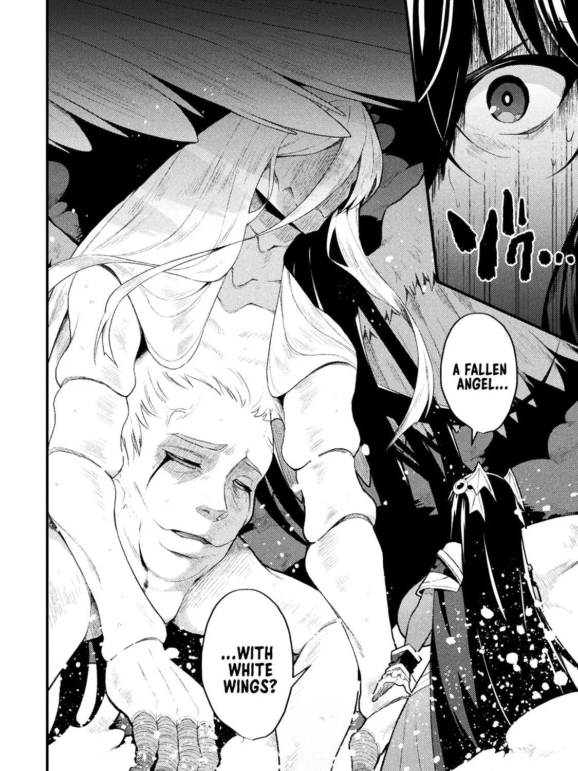 The Another World Demon King