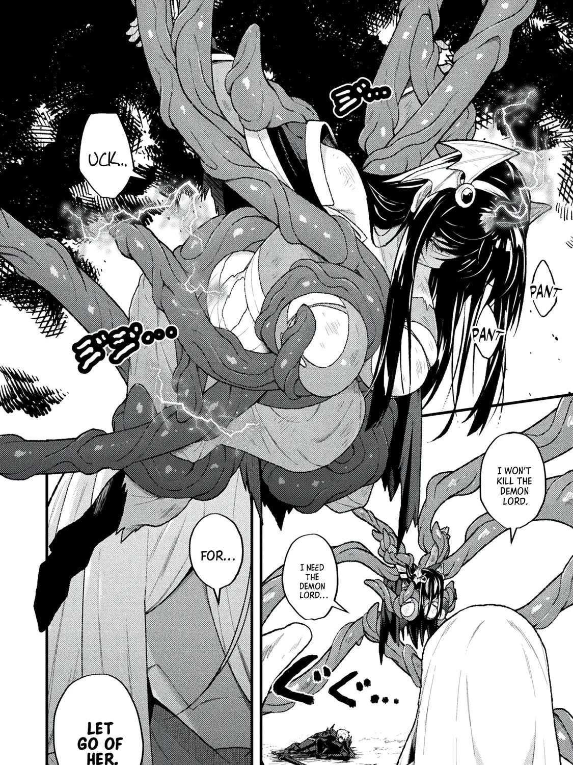 The Another World Demon King