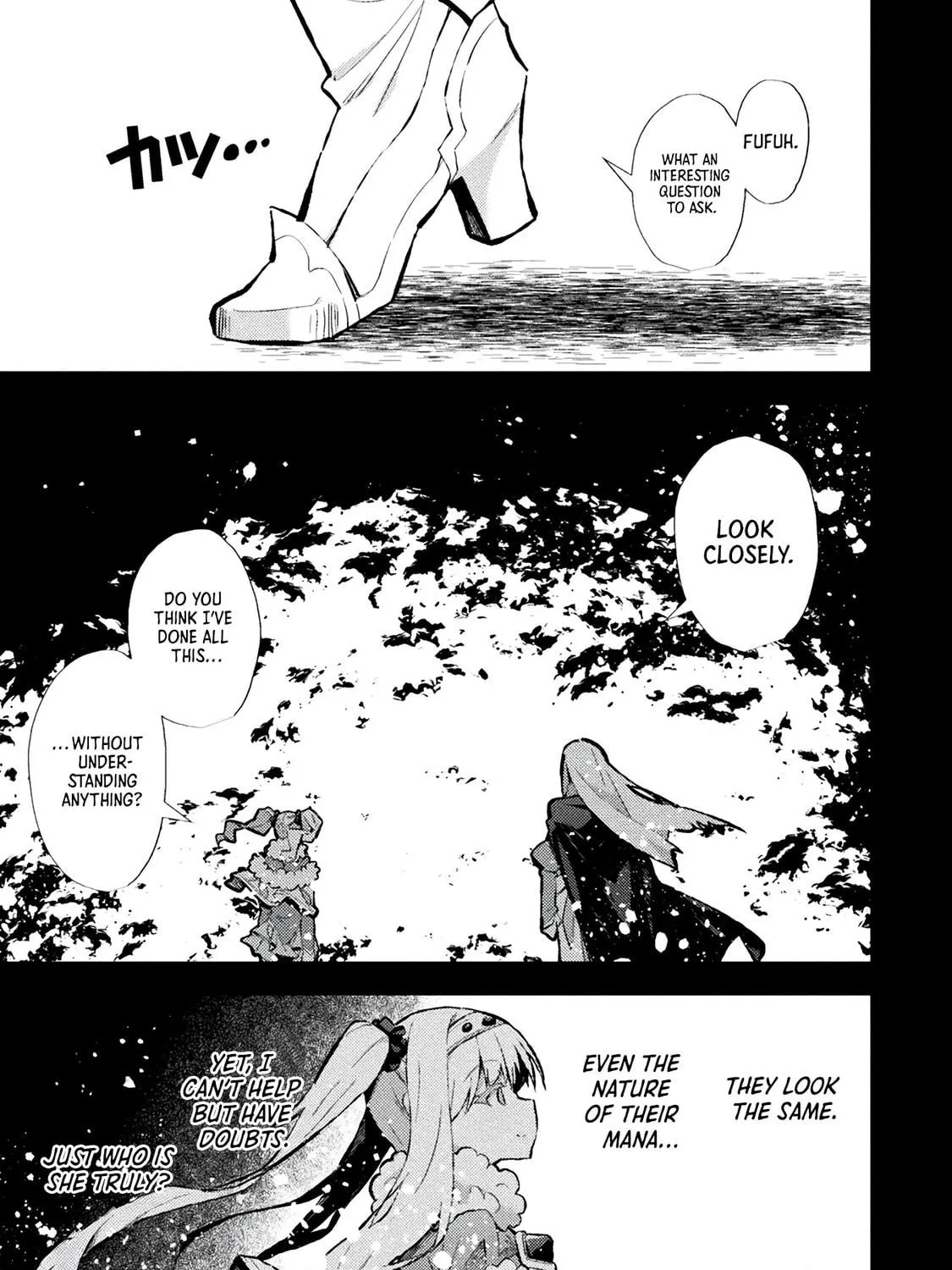 The Another World Demon King