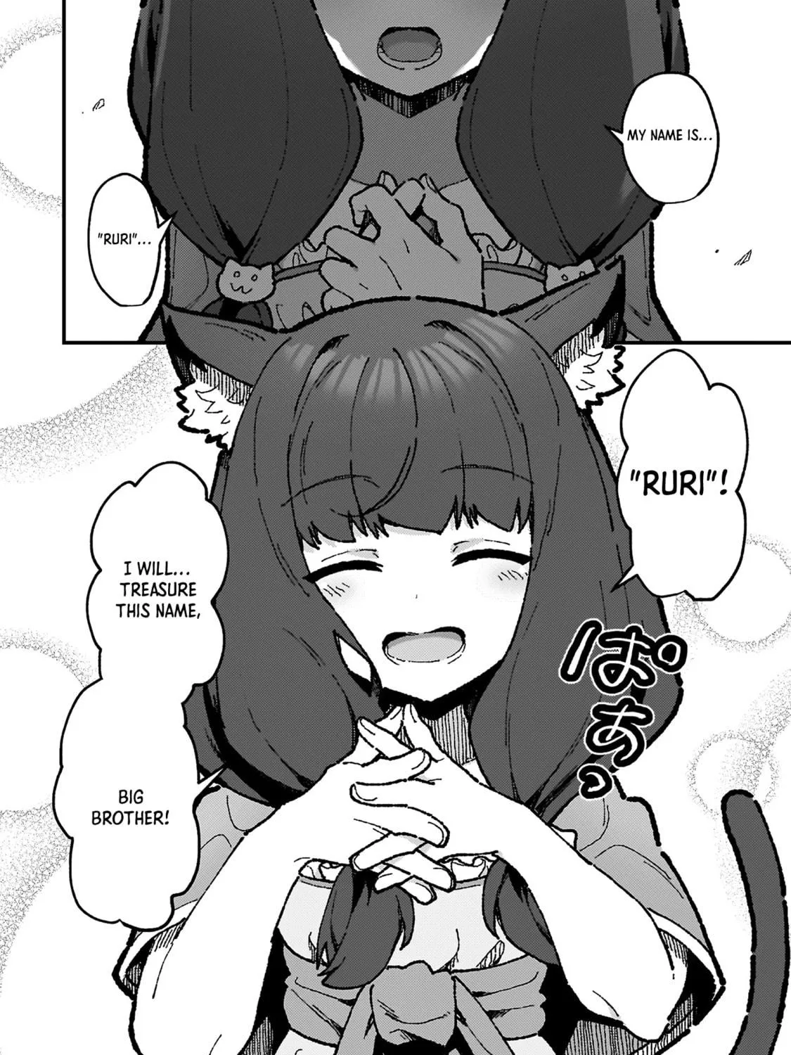 The Another World Demon King