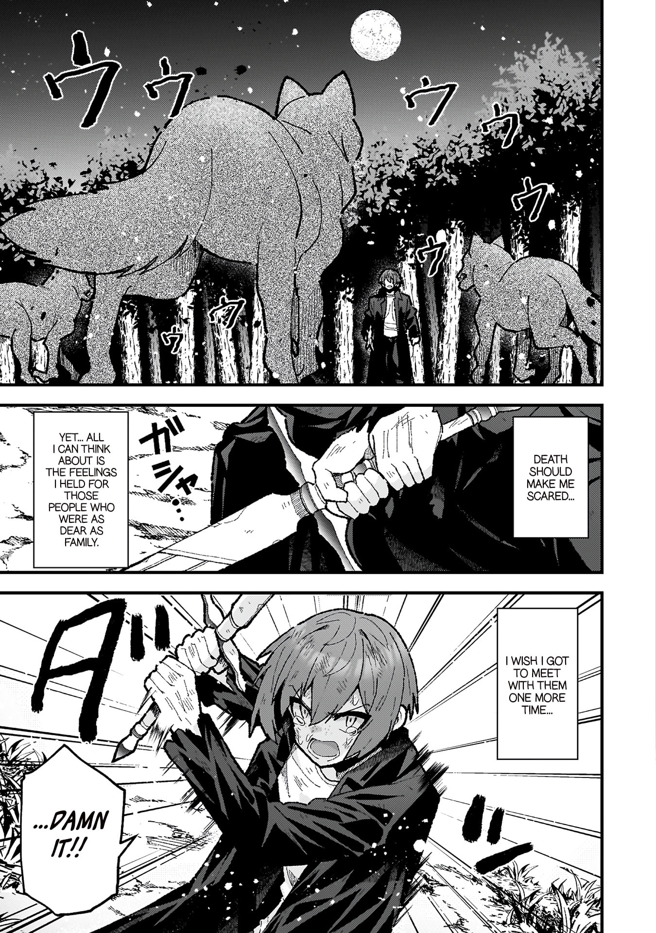 The Another World Demon King