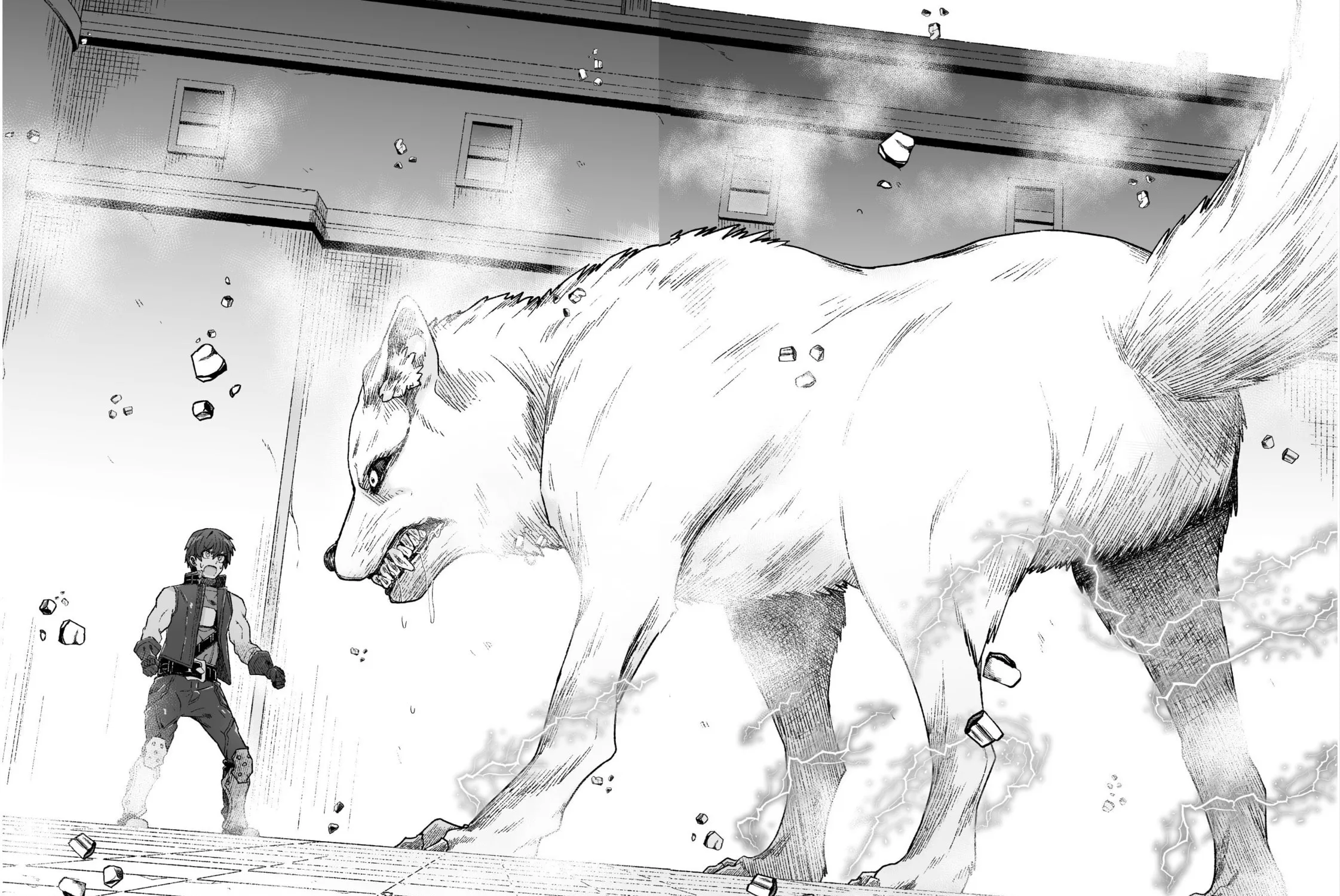 The Another World Demon King