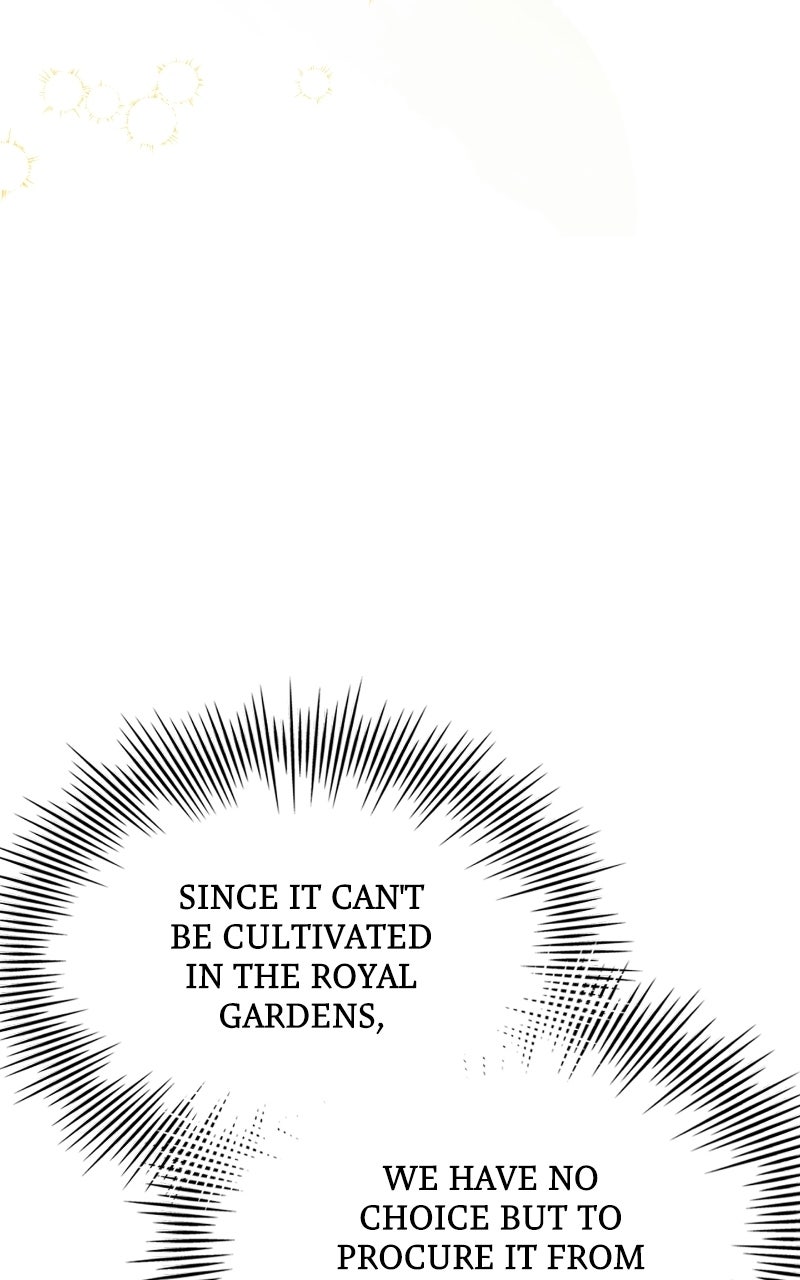 The Apothecary Prince Episode 88 page 95 - 
