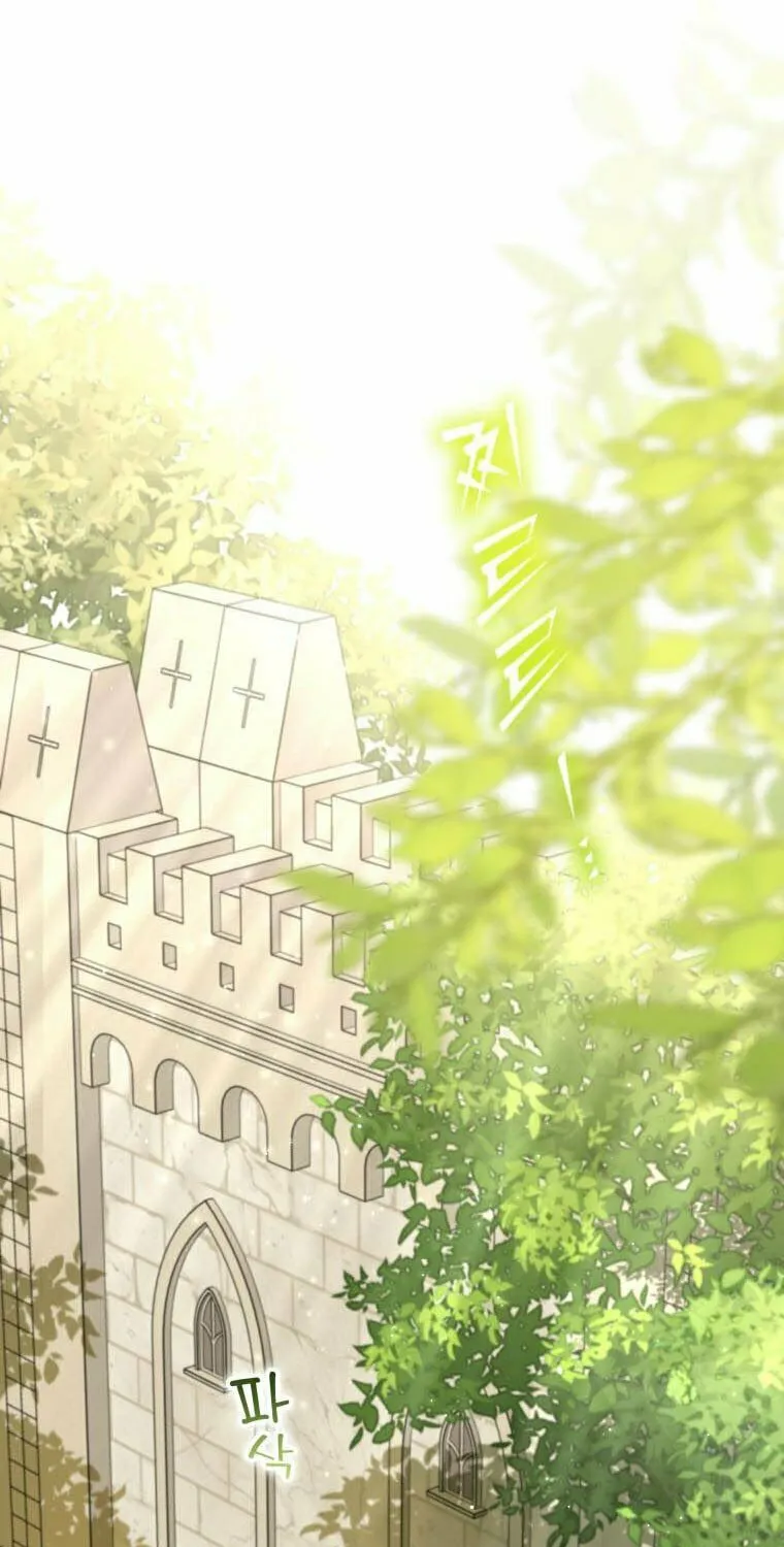 The Archduke