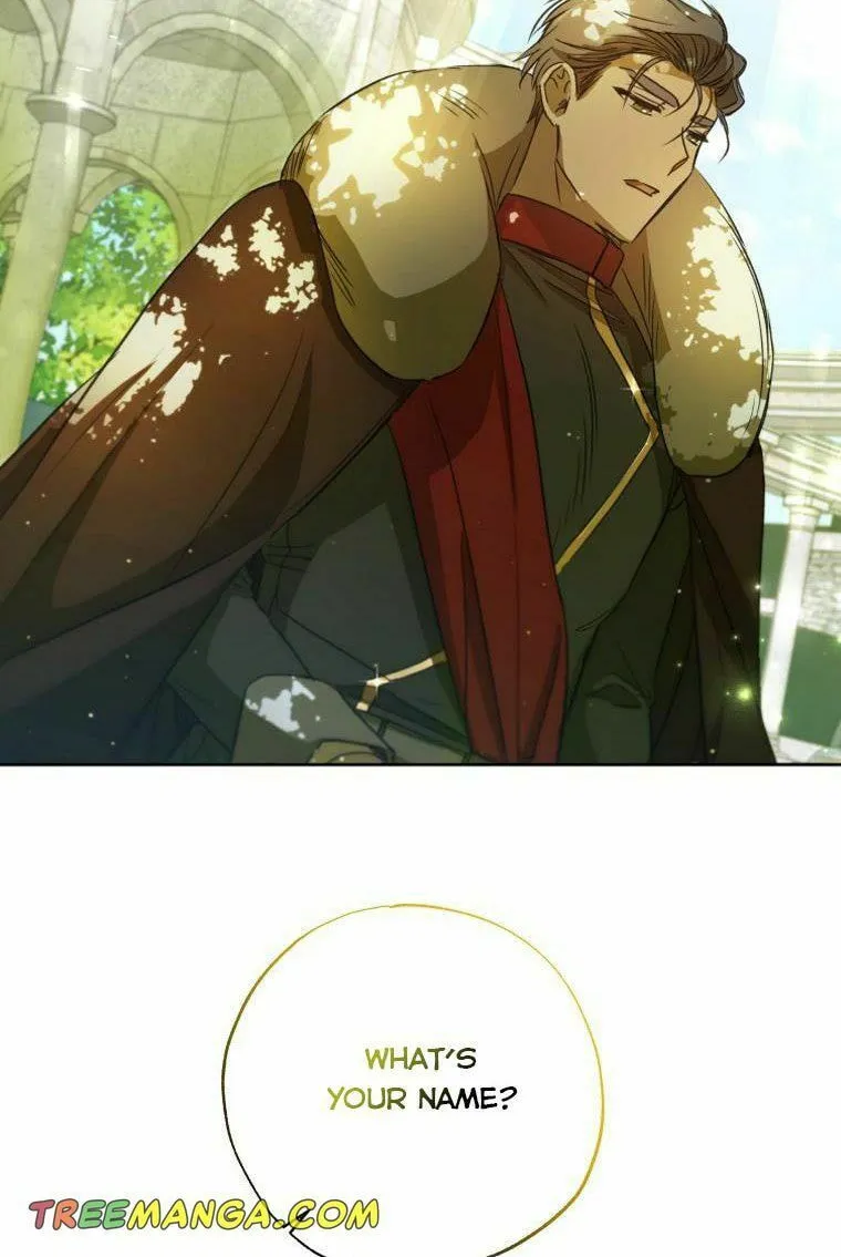 The Archduke