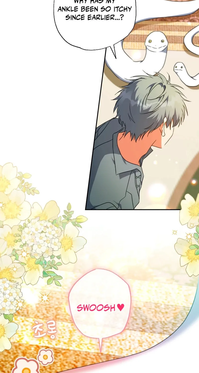 The Archduke
