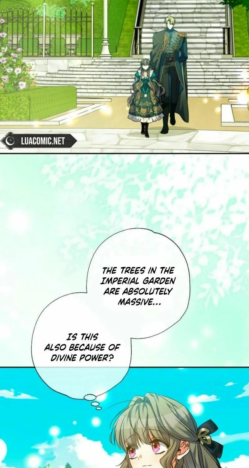 The Archduke