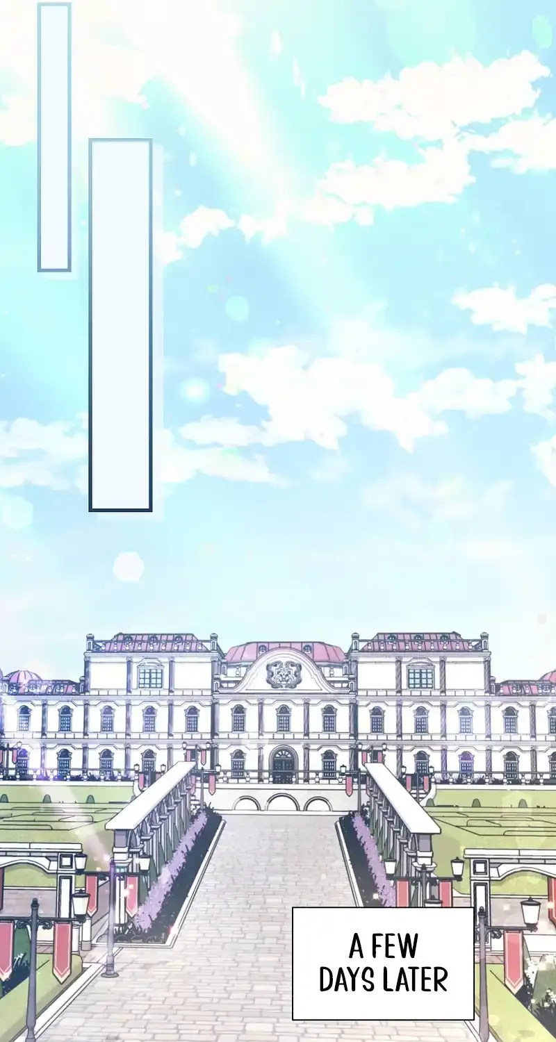 The Archduke
