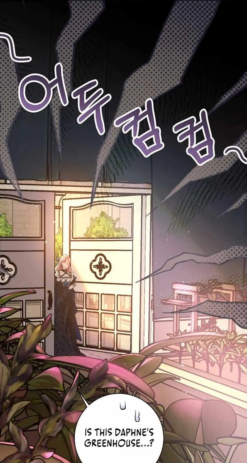The Archduke