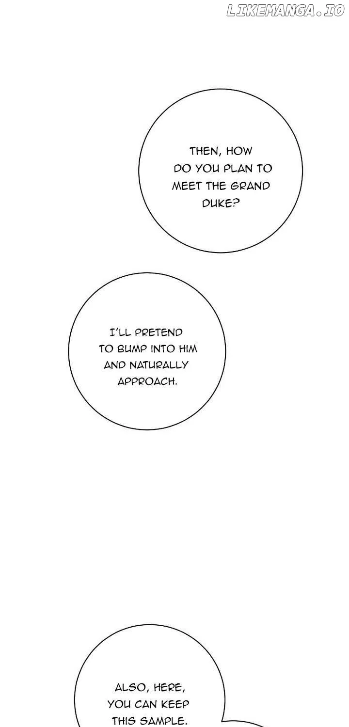 The Archduke