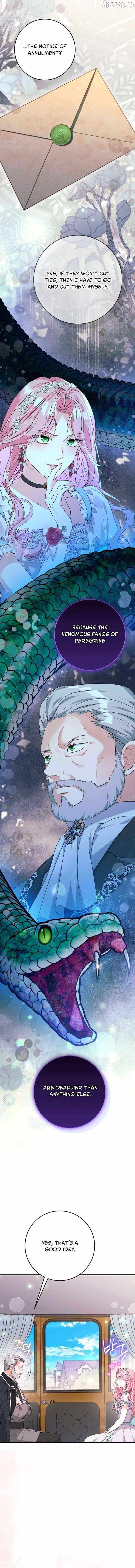 The Archduke
