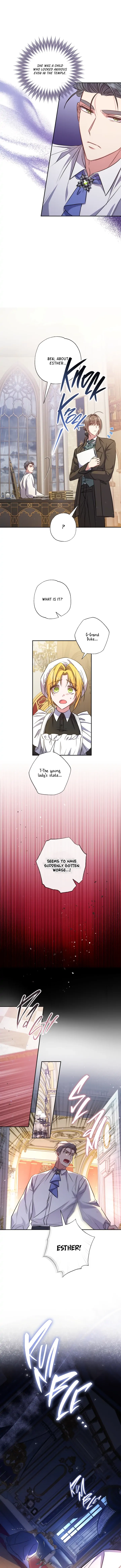The Archduke