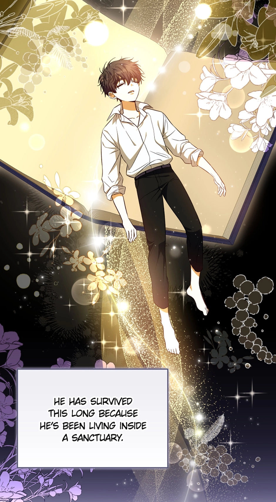The Archduke
