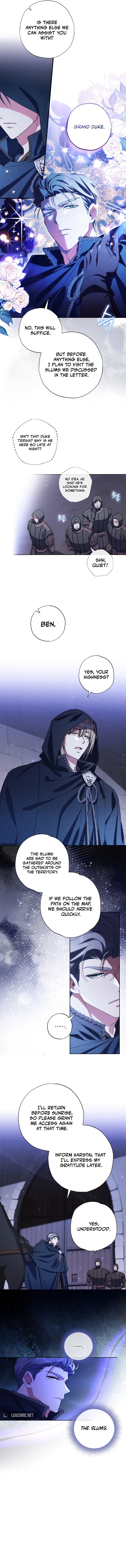 The Archduke