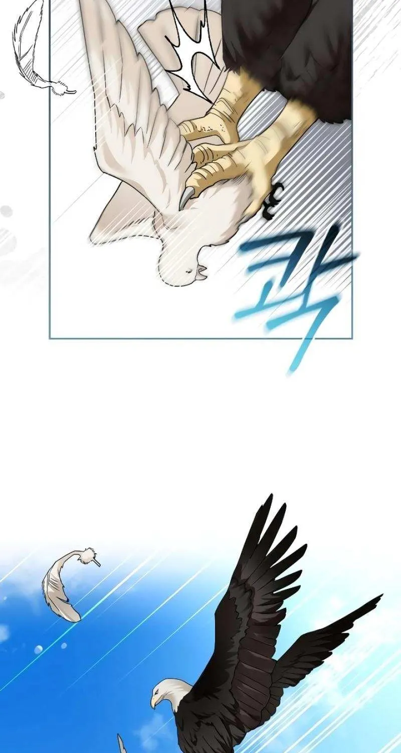 The Archduke’s Flower Is In Jeopardy Chapter 4 page 66 - 