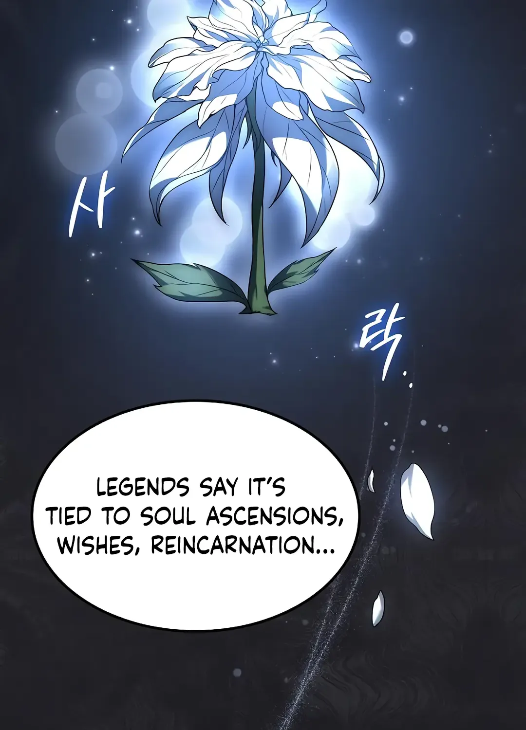 The Archmage
