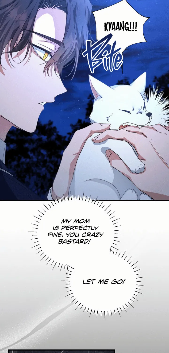 The Arranged Suitor Was the Kidnapper Chapter 0 page 12 - 