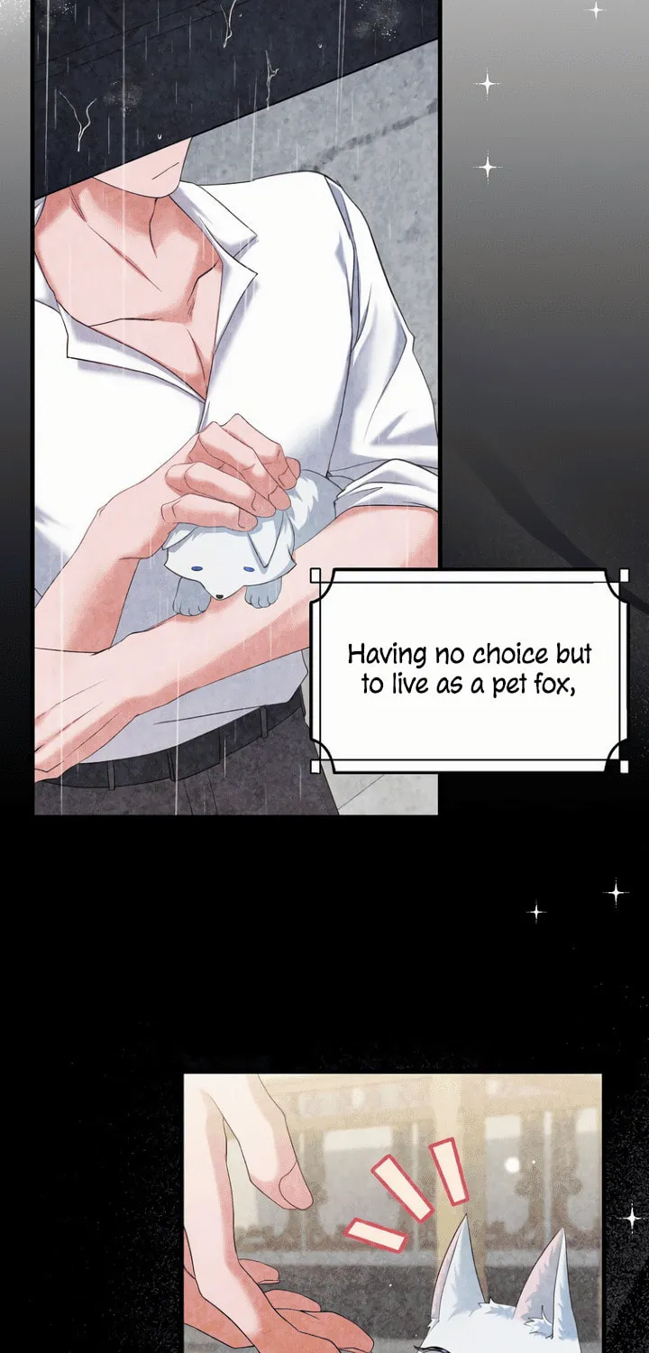 The Arranged Suitor Was the Kidnapper Chapter 0 page 13 - 