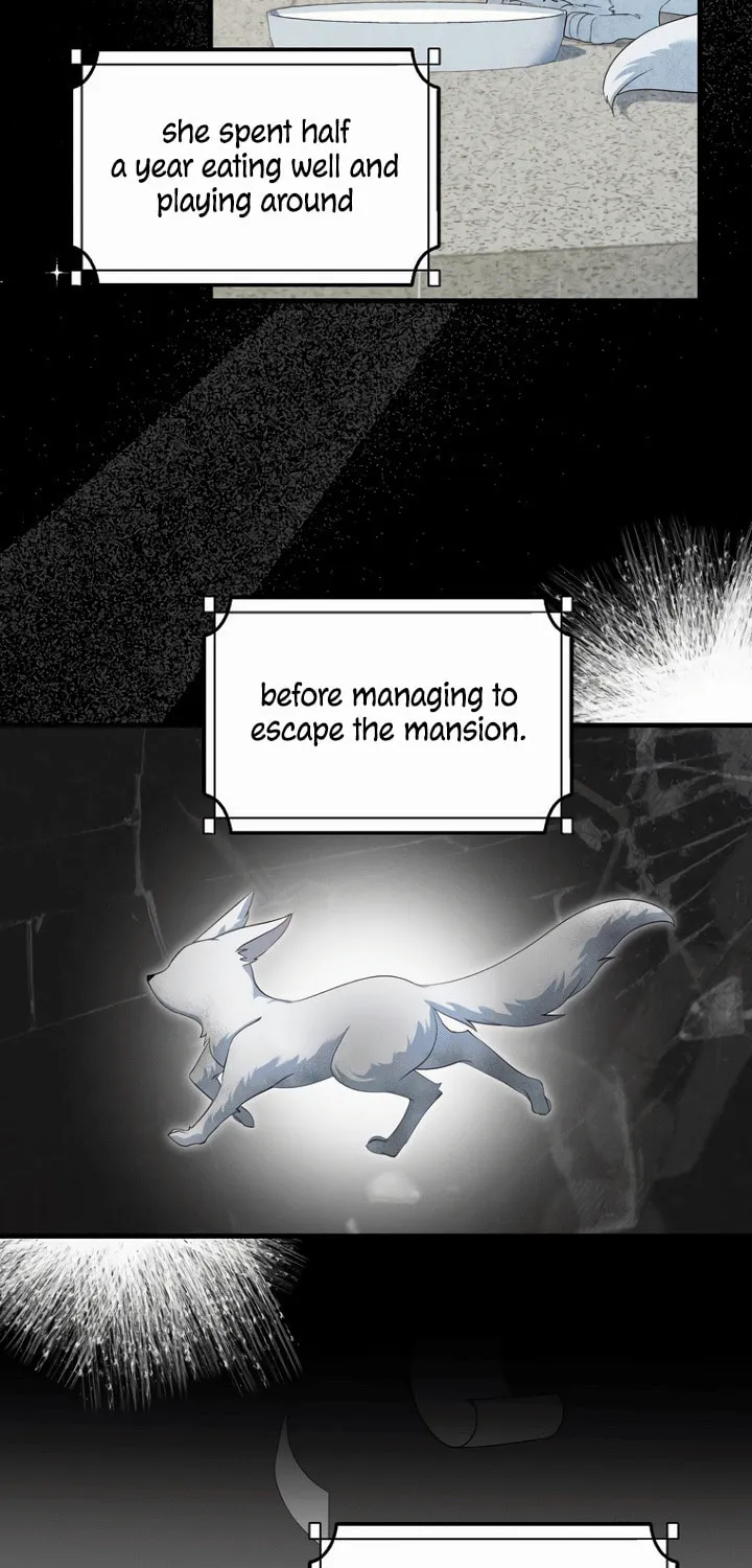 The Arranged Suitor Was the Kidnapper Chapter 0 page 15 - 