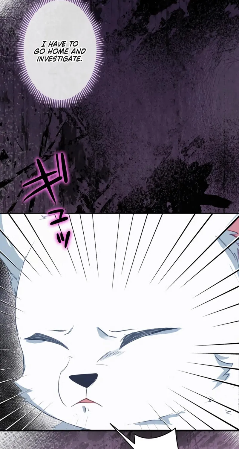 The Arranged Suitor Was the Kidnapper Chapter 1 page 52 - 