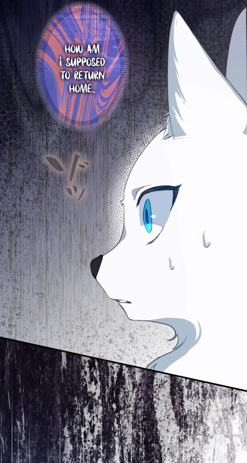 The Arranged Suitor Was the Kidnapper Chapter 1 page 59 - 