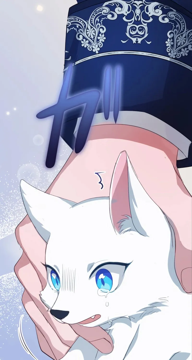 The Arranged Suitor Was the Kidnapper Chapter 1 page 63 - 