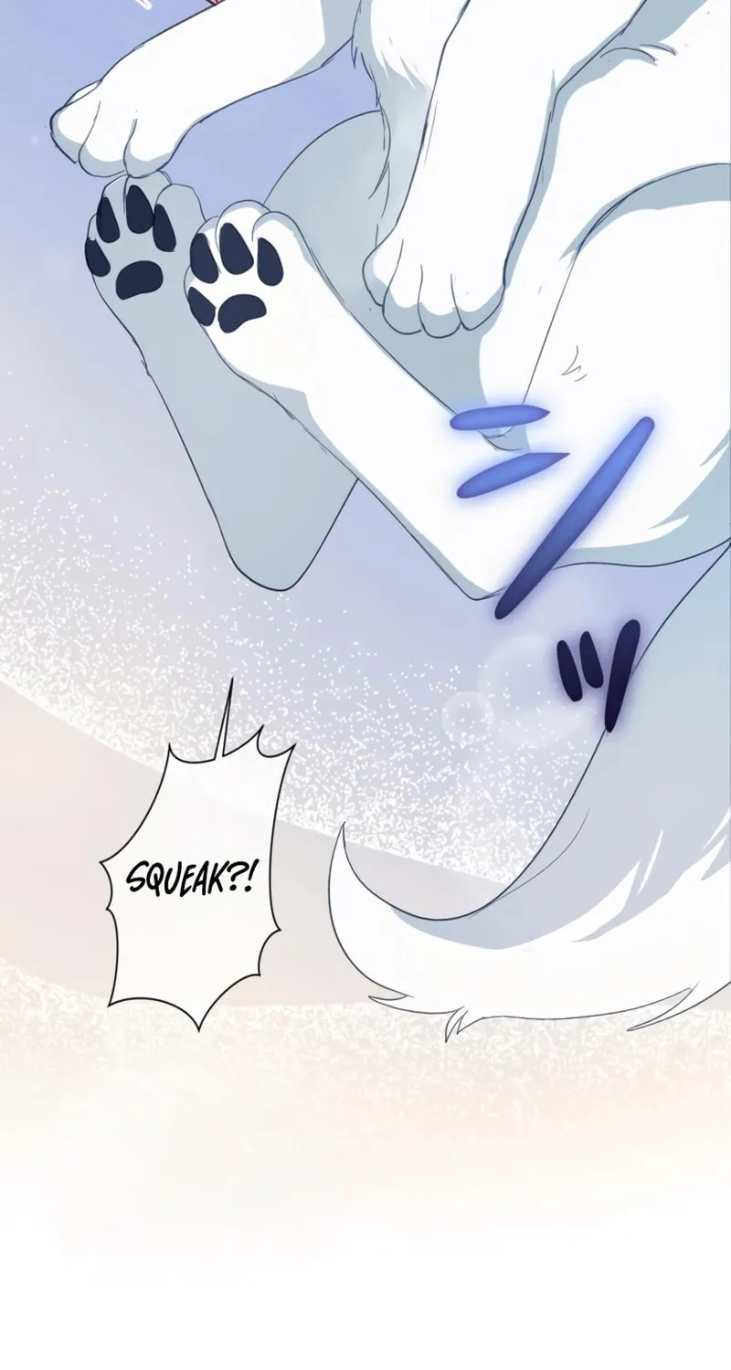 The Arranged Suitor Was the Kidnapper Chapter 1 page 64 - 