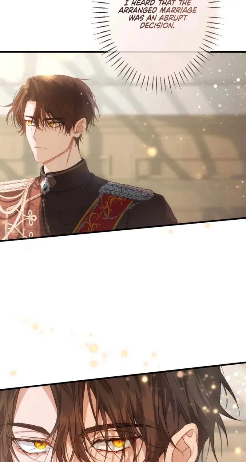 The Arranged Suitor Was the Kidnapper Chapter 1 page 93 - 