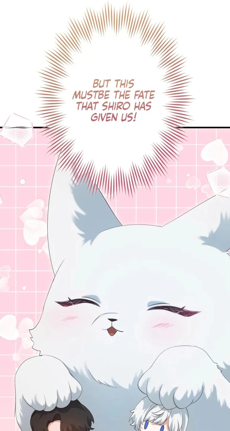 The Arranged Suitor Was the Kidnapper Chapter 11 page 41 - 