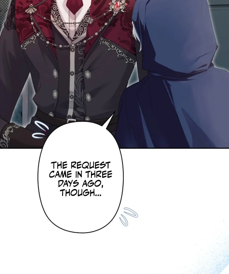 The Arranged Suitor Was the Kidnapper Chapter 14 page 28 - 