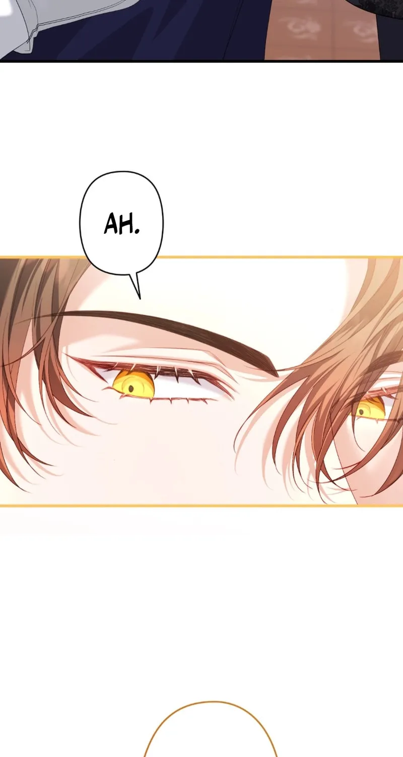 The Arranged Suitor Was the Kidnapper Chapter 14 page 49 - 