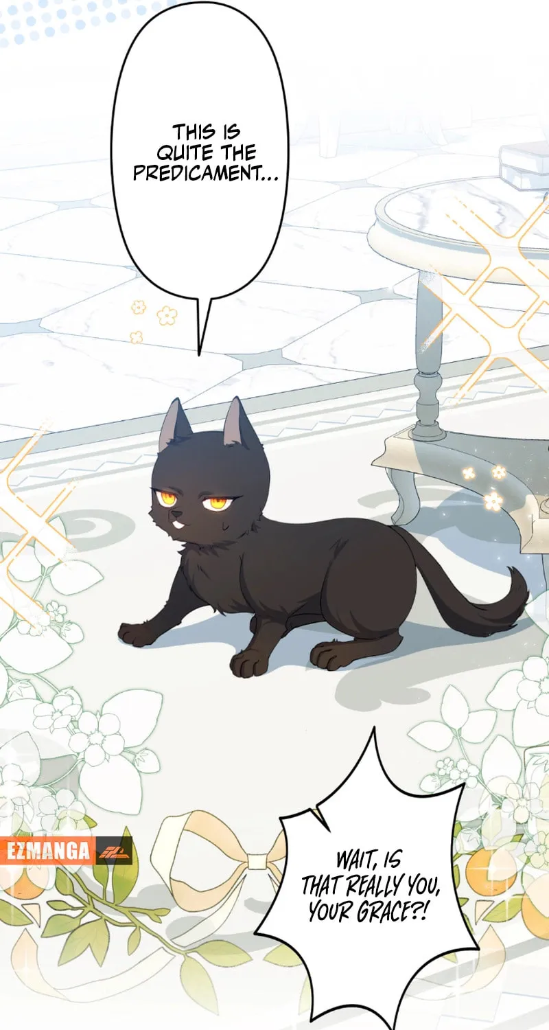 The Arranged Suitor Was the Kidnapper Chapter 16 page 80 - 