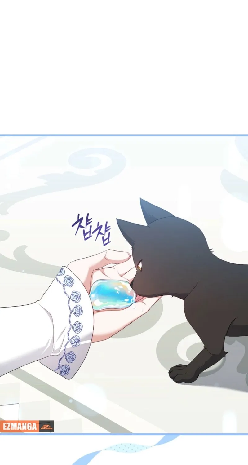The Arranged Suitor Was the Kidnapper Chapter 17 page 12 - 