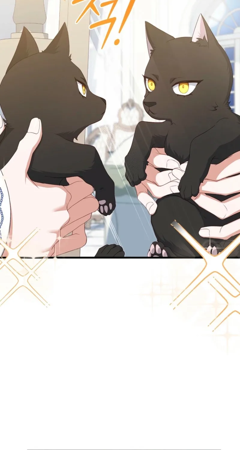 The Arranged Suitor Was the Kidnapper Chapter 17 page 23 - 
