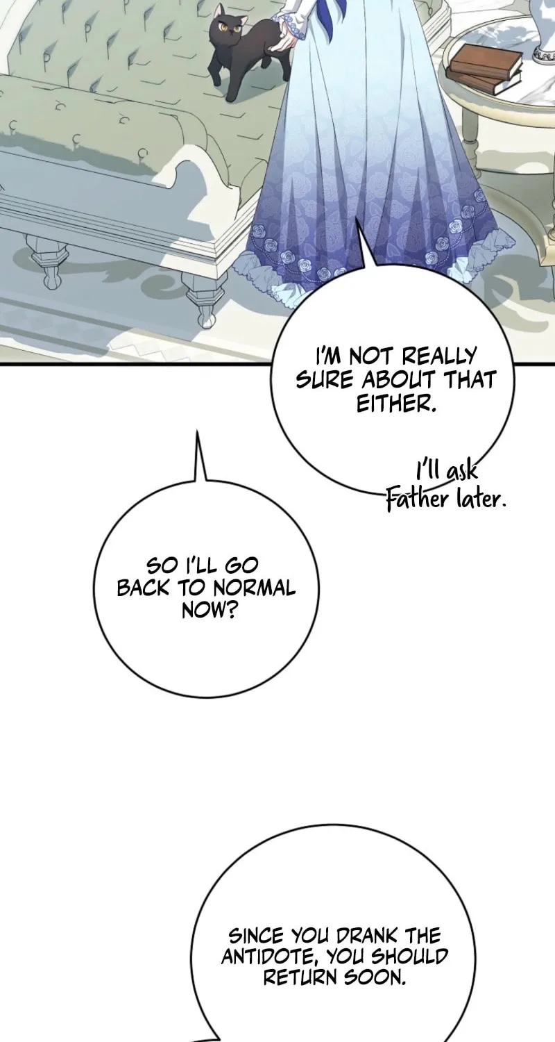 The Arranged Suitor Was the Kidnapper Chapter 17 page 27 - 