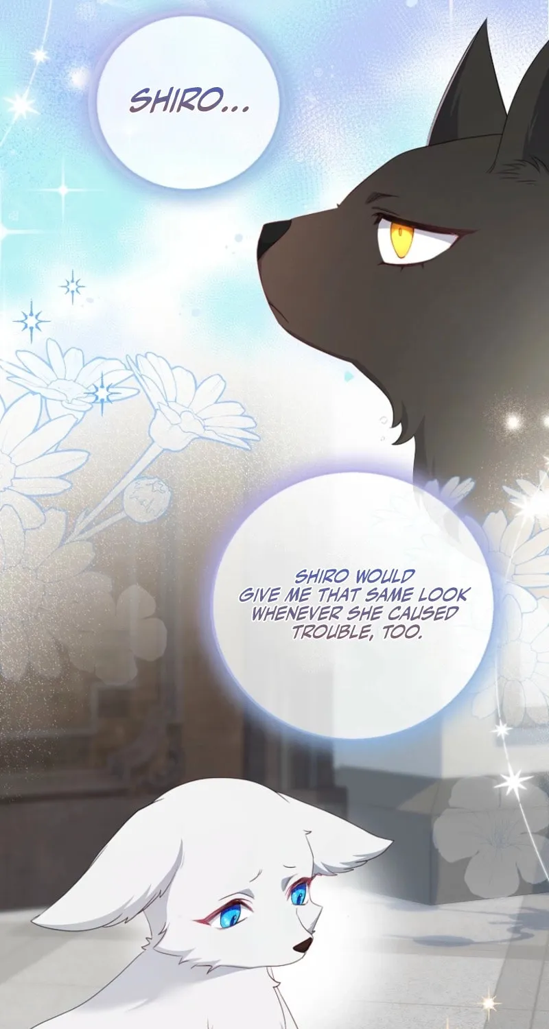 The Arranged Suitor Was the Kidnapper Chapter 17 page 5 - 
