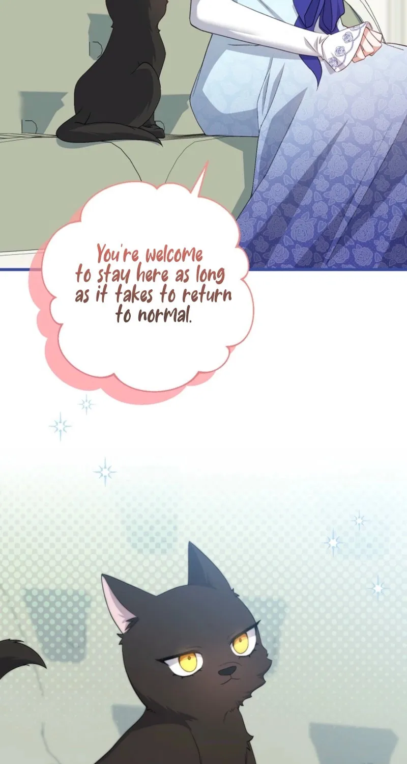 The Arranged Suitor Was the Kidnapper Chapter 17 page 41 - 
