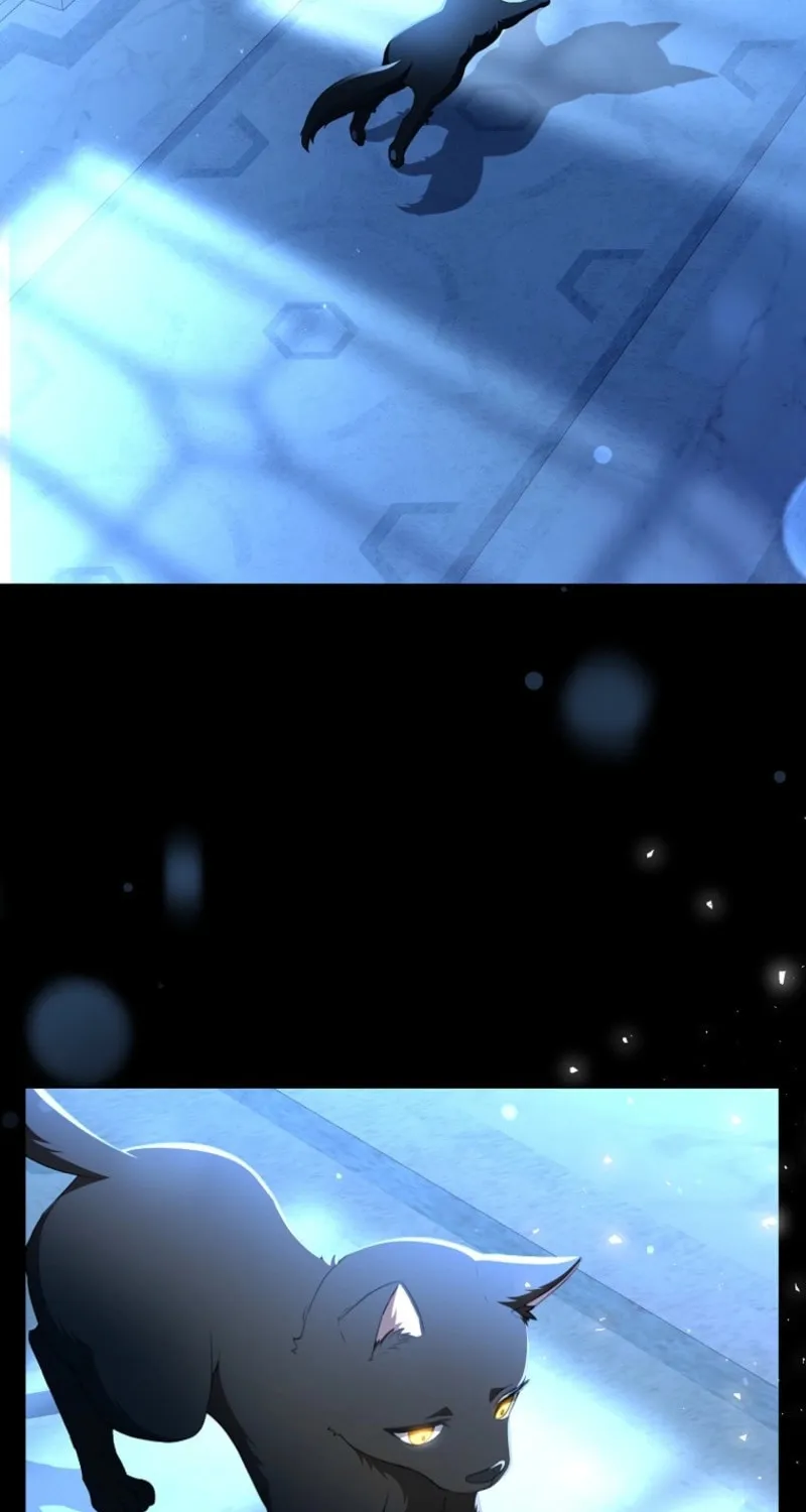 The Arranged Suitor Was the Kidnapper Chapter 17 page 75 - 