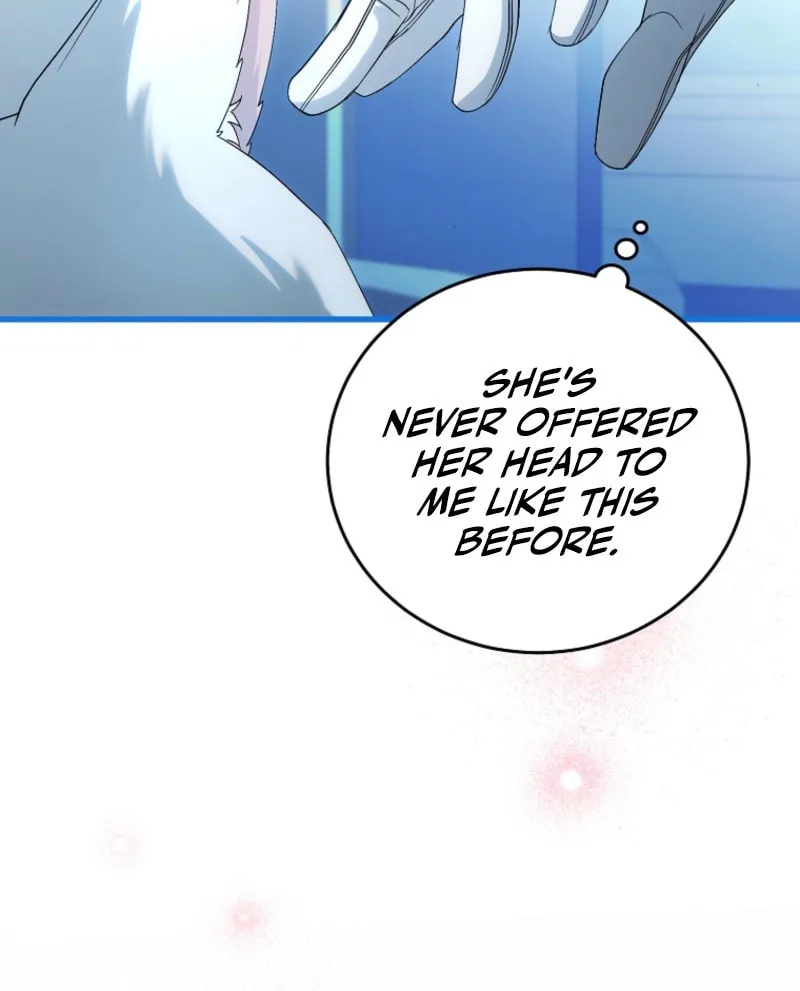 The Arranged Suitor Was the Kidnapper Chapter 19 page 17 - 