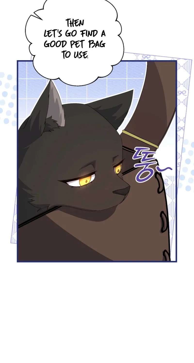 The Arranged Suitor Was the Kidnapper Chapter 19 page 55 - 